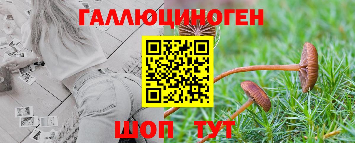 Соликамск  Галлюциногенные грибы Cubensis  Вход с VPN  Псилоцибиновые грибы ЛСД 